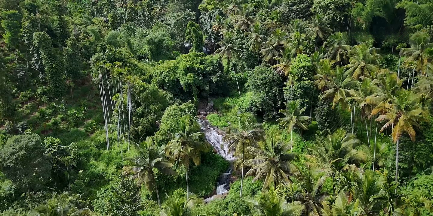 A waterfall running down through palms and forest in the Attappadi hills, from the air