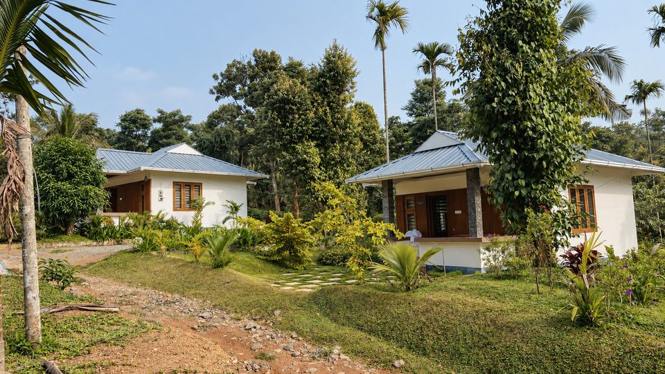 The two cottages on a grassed slope, white with blue-grey roofs, a stone path between them and areca palms behind